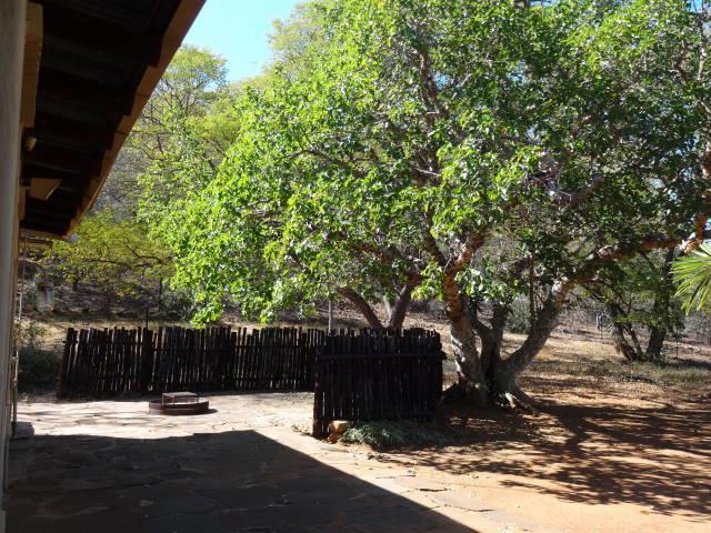 Lepelle Lodge Burgersfort Exterior foto